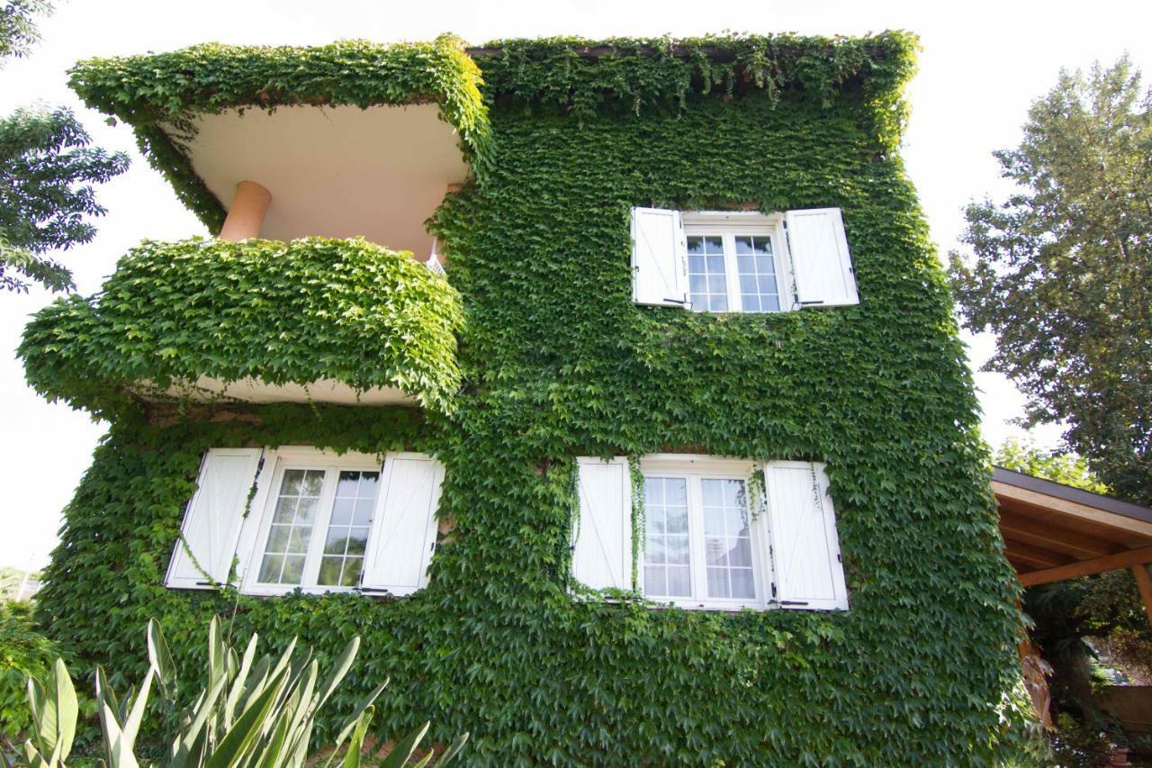 Il Giardino Delle Jacaranda Bed and Breakfast Talsano Eksteriør billede